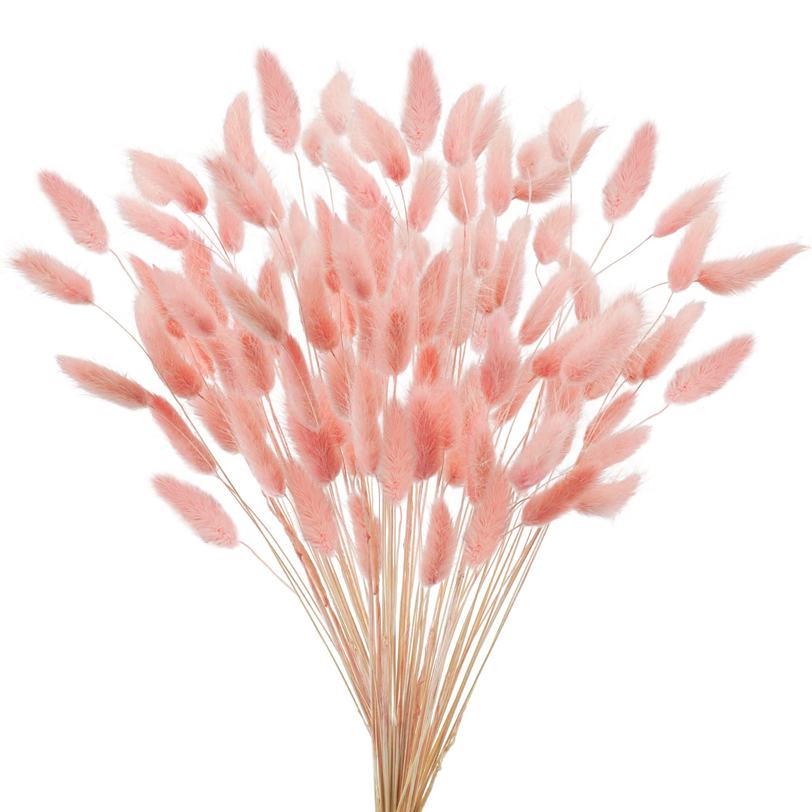 Photo 1 of Uieke 17’’ Natural Bunny Tails Dried Flowers, 120 Pcs Dried Lagurus Ovatus, Dried Pink Pampas Grass Decor for Farmhouse Flower Arrangements Wedding Home Boho Party Decorations