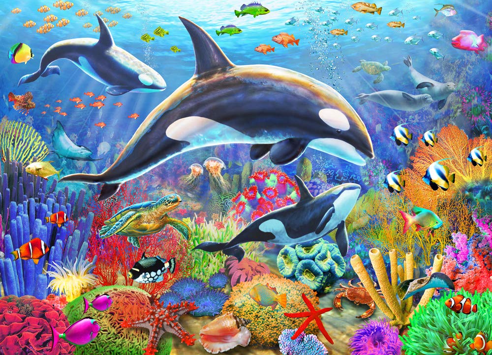 Orca Fun Jigsaw Puzzle 1000 Piece
