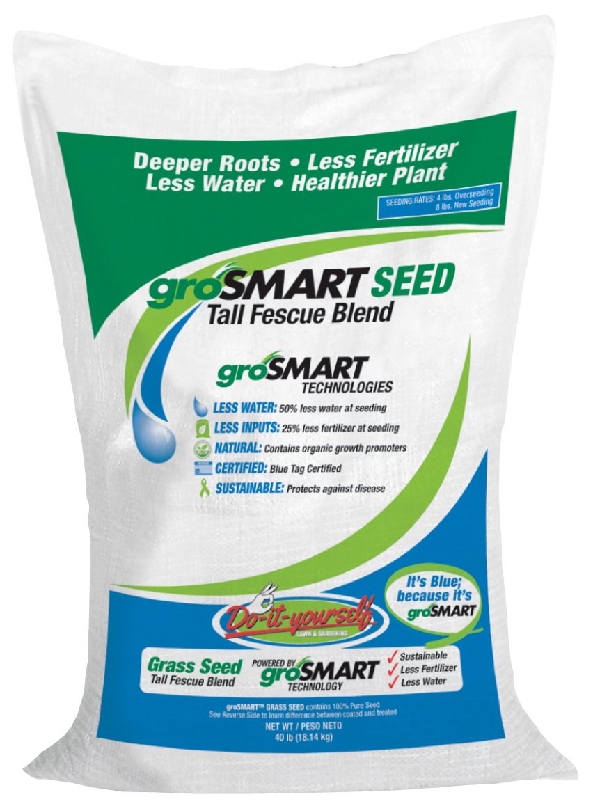 Best Scott Weed And Feed Lawn Fertilizer