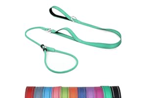 Erbine 6FT Anti-Tangle Slip Leash, No-Pull Slip Leads and Collar for Dogs with Double Padded Handle, Reflective Nylon Training Lead for Small Medium Dogs, Turquoise