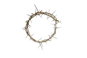 LION OF JUDAH MARKET Crown of Thorns: Life Size Authentic Crown (11-12 in Diameter)