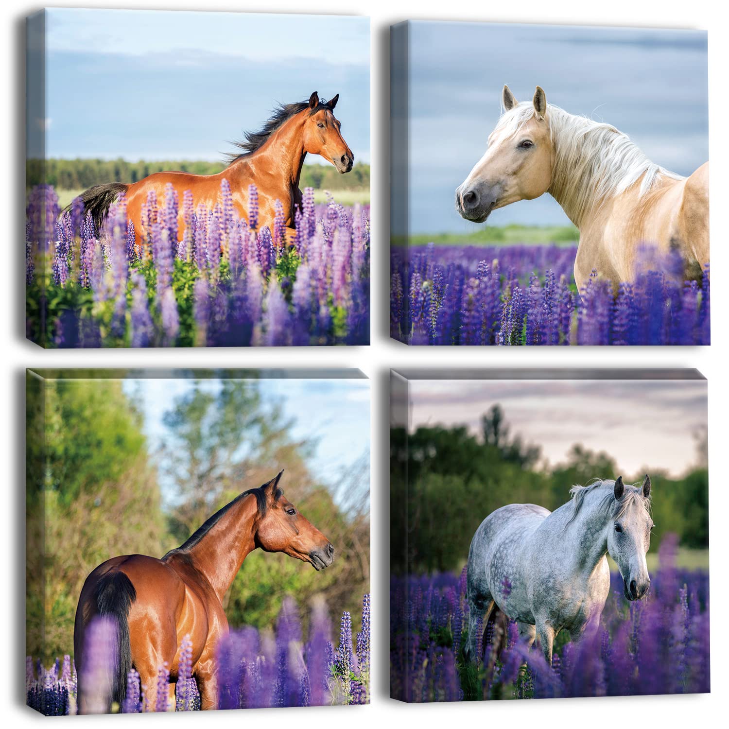 Artscope 4 Pieces Wall Art Canvas Prints - Purple Lavender and Horse Picture Painting - Modern Wall Artwork Framed for Gifts Bathroom Home Kitchen Office Decor - 30 x 30 CM