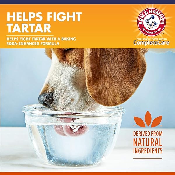 ARM & HAMMER DOG DENTAL WATER ADDITIVE BREATH FRESHENER, ODORLESS FLAVORLESS ORAL CARE SOLUTION FOR PLAQUE AND TARTAR CONTROL, DAILY NO BRUSH DENTAL SUPPORT FOR DOGS, 16 FL OZ – 3 PACK