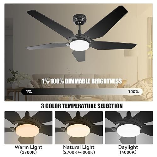 52 inch Smart Ceiling Fan with Light, Blades Low Profile Ceiling