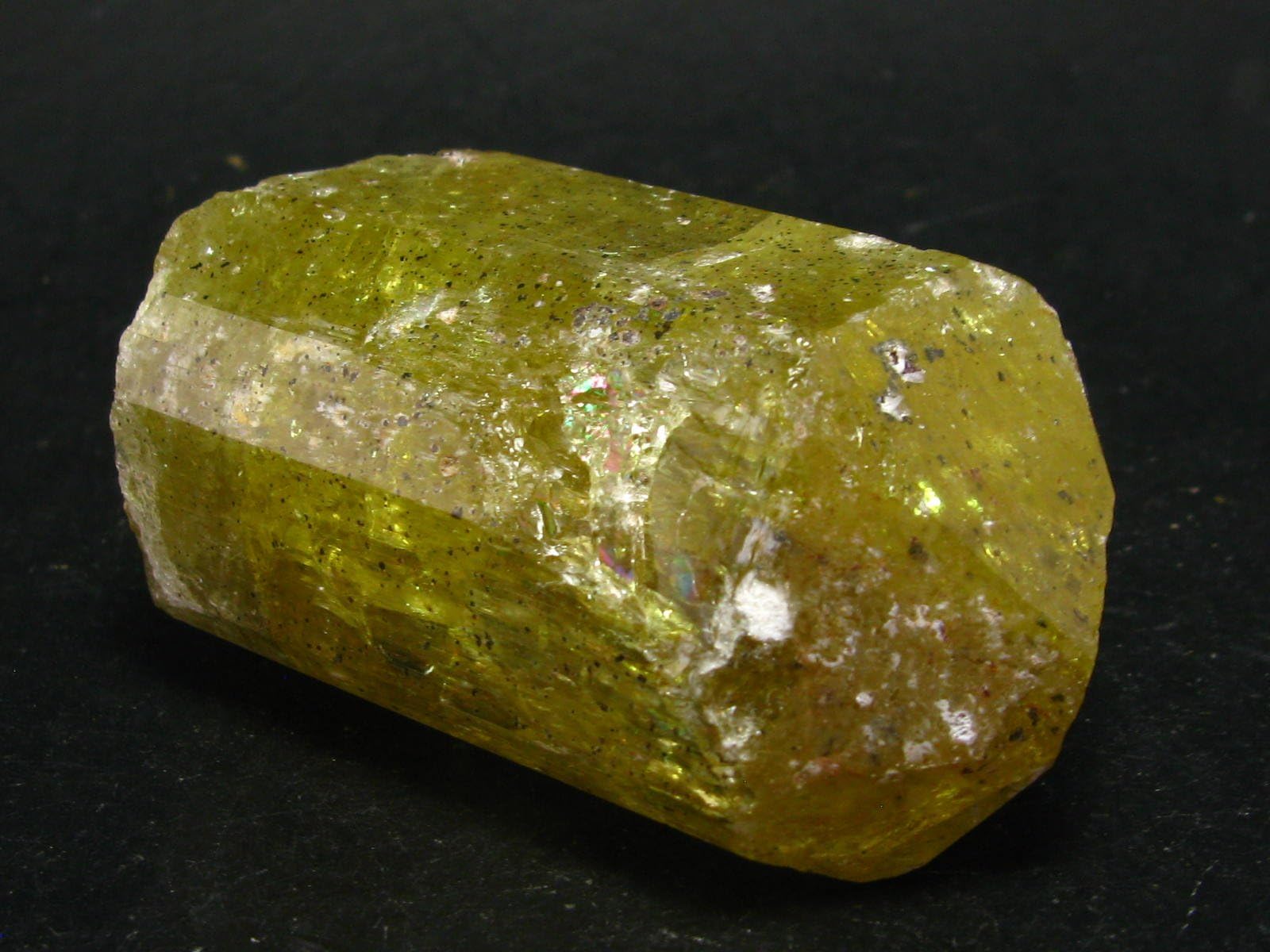 Huge Gem Golden Apatite Crystal From Mexico - 2.3"