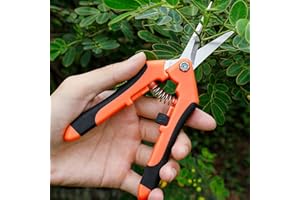 Pruning Shears for Gardening, Ultra Sharp Garden Scissors for Precise Cuts, Stainless Steel Bonsai Clippers with Spring Loade