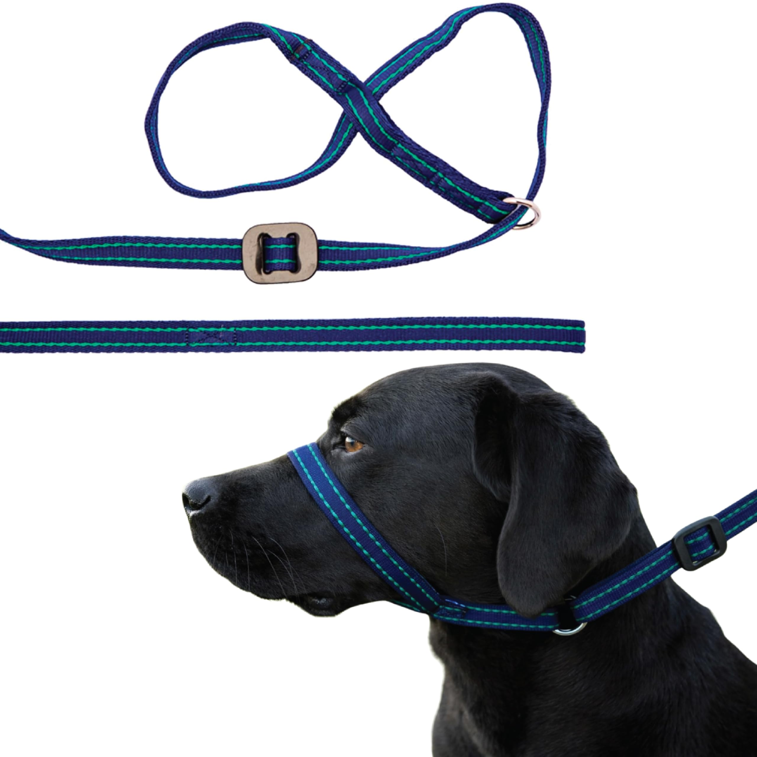 Gencon - All-in-One Anti Pull Dog Lead and Headcollar - Trainer Approved - Figure of 8 Dog Lead with Soft Loop Handle, Gentle Control - Left Hand - Washable - UK Made - Navy/Jade