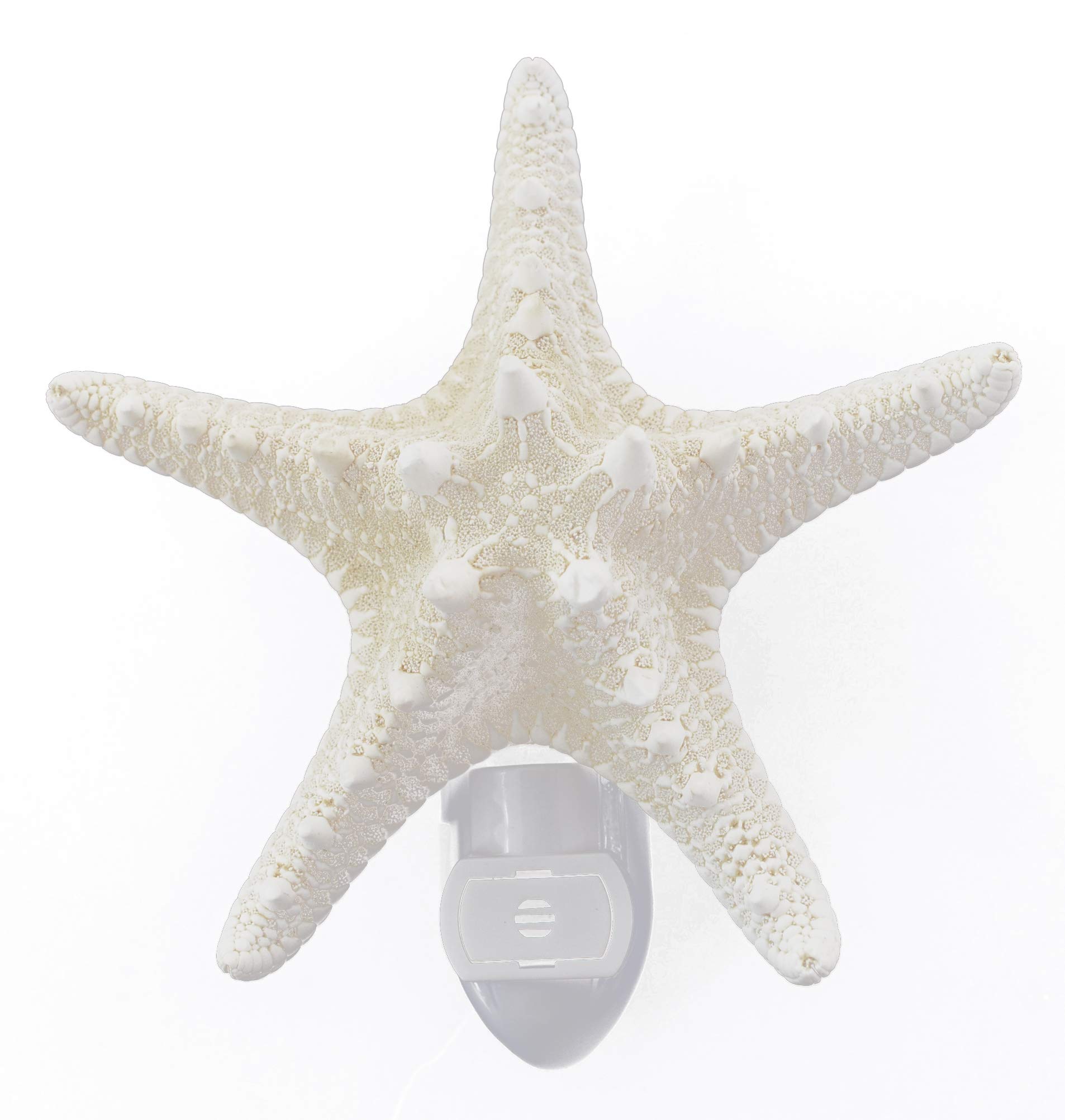 Seashell Night Light Real White Starfish Beach Decor w. Light Sensor Beautiful Coastal Cottage