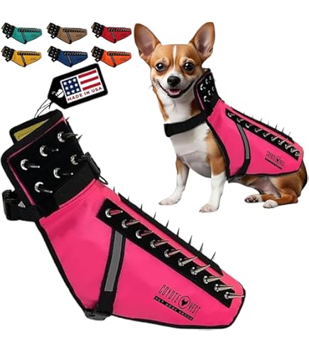 Dog Collar Anti Raptor Dog Vest Gilet De Sauvetage Chien Four