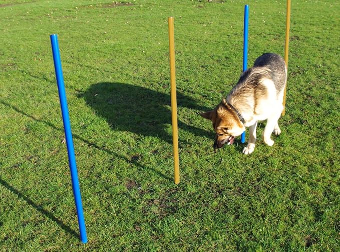 Pet Dogs Outdoor Games Agility Exercise Training Equipment, Agility