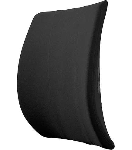 Amazon.com: Back-Huggar Bucket Seat Thick Foam Lumbar Support