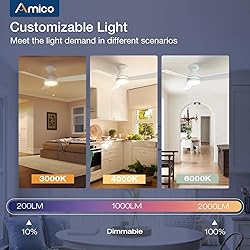 Amico Ceiling Fans with Lights, 42 inch Low Profile