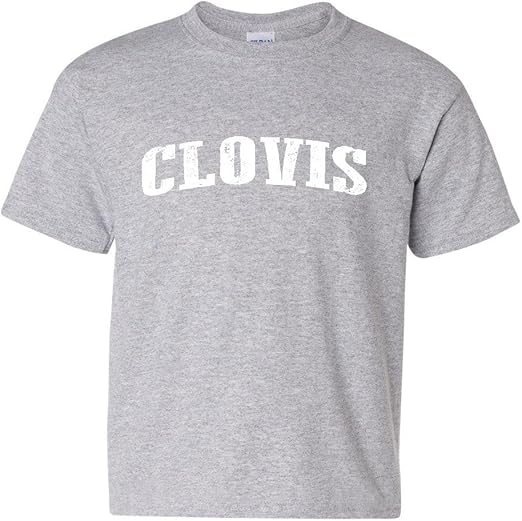 HJ Anillo de toalla/Gadget de baño, contemporáneo cromo Fijación AU