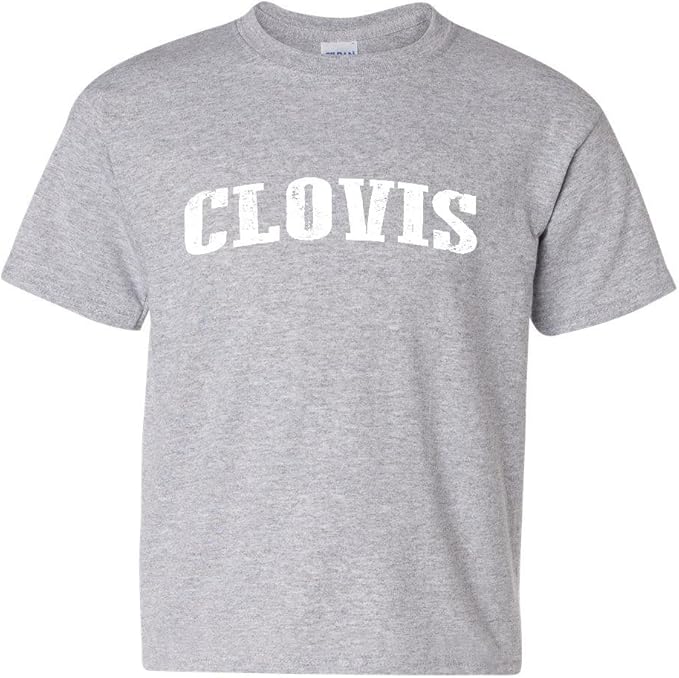 HJ Anillo de toalla/Gadget de baño, contemporáneo cromo Fijación AU