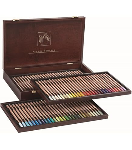 Amazon.com: Caran d'Ache Neocolor II Water-Soluble Pastels