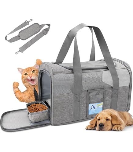 American Airlines United Airlines Cat Carrier United Airlines Pet