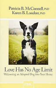 Love Has No Age Limit-Welcoming an Adopted Dog into Your Home