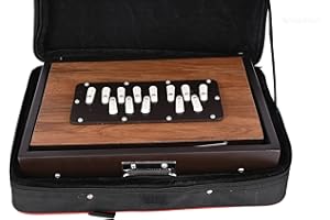 Shreyas Shruti Box Shruti Box Large 13X12X3 Inches, Sur Peti Surpeti With Bag, Natural Color, Musical Instrument Indian