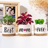 Buioata Mum Gifts Succulent Plant Pots Set of 3 Home Decor view 4