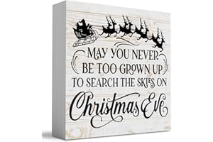 WRSUNT May You Never Be Too Grown Up To Search The Skies On Christmas Eve Sign Christmas Decorations Indoor Farmhouse Christmas Decor Christmas Home Shelf Office Decoration 5 x 5 Inches