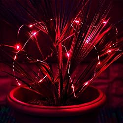 kemooie 2 Packs Solar Fairy Lights, 100 LED 33FT 8