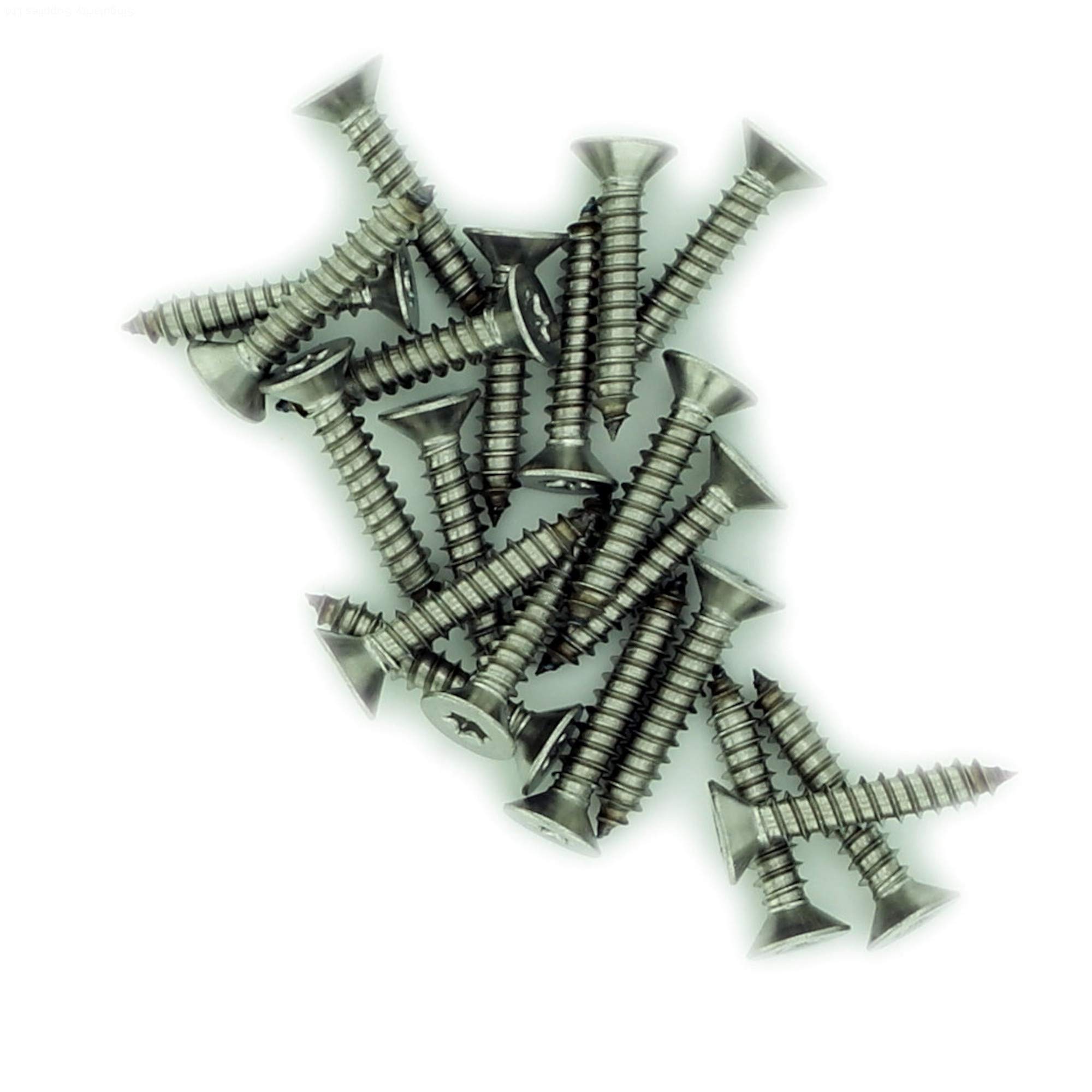 No.12 x 1.5 (5.5mm x 38mm) TX Countersunk Self-Tapping Screw - Stainless Steel (A2) (Pack of 20) — image 1