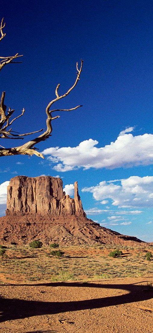 PeelitStickit, Beautiful Nature Wall Murals, ID-1411, vinyl