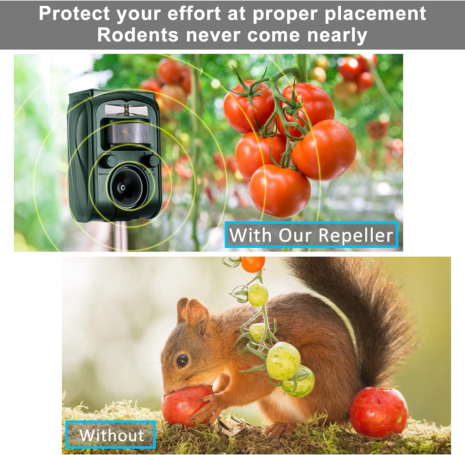 Abilly 2021 Solar Ultrasonic in Repellent Defender Rat, Squirrel, Deer, Raccoon, Skunk, Rabbit, Mole, Dog, Cat, Waterproof with Motion Detector : Garden & Outdoor