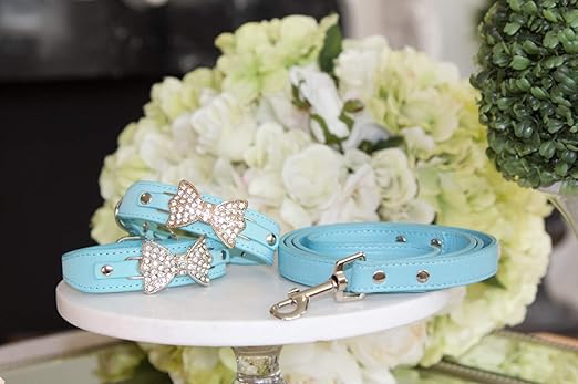 tiffany and co dog collar and leash