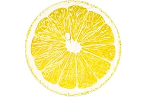 Excervent Realistic Fruit Lemon Blanket, 290 GSM Funny Realistic Food Blanket, Novelty Super Soft Yellow Flannel Throw Blankets, 60 inch