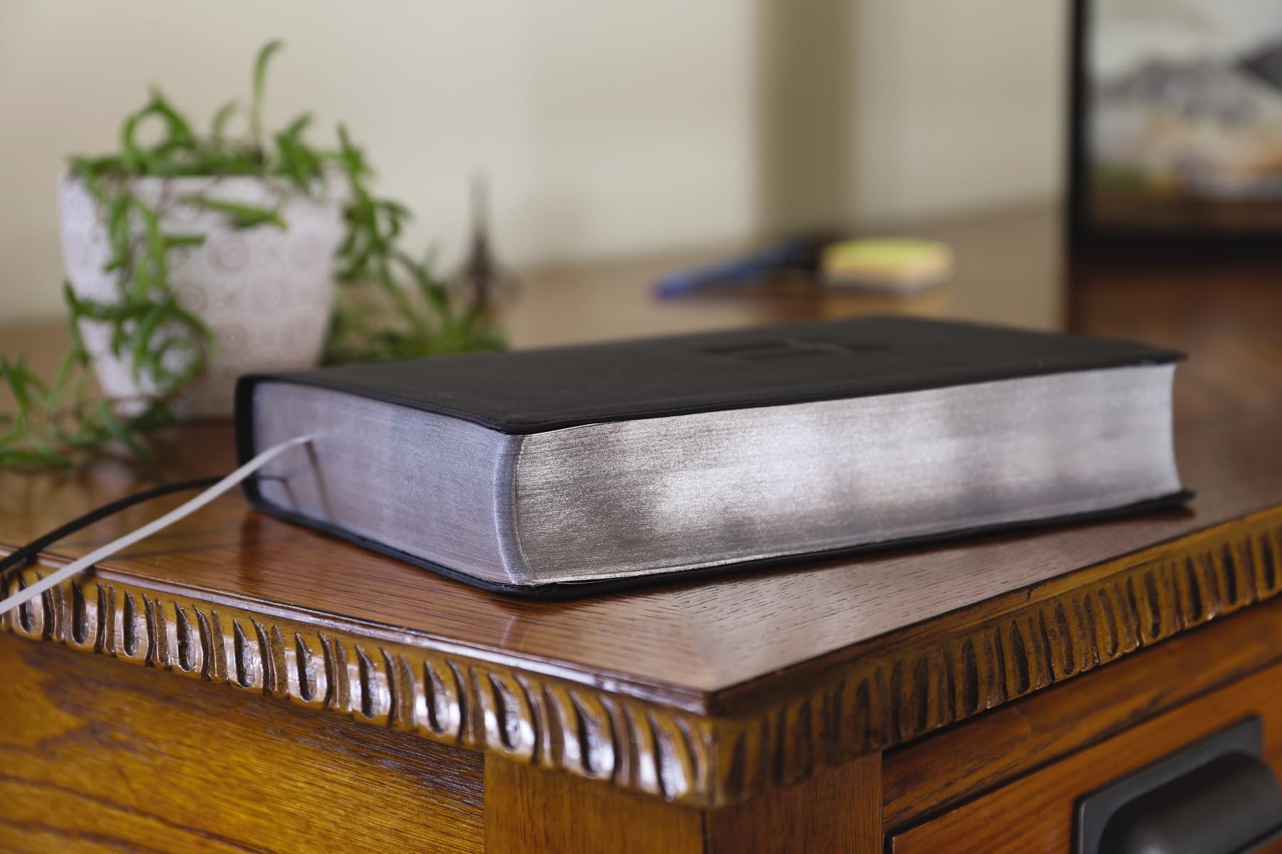 NIV, Quest Study Bible, Leathersoft, Black, Comfort Print: The Only Q and A Study Bible