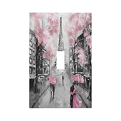 Paris City Light Switch Cover Single Toggle