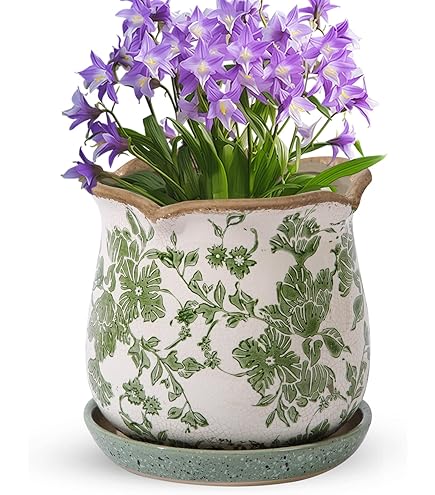 Amazon.com: Large Cabbage Ceramic Flower Pot with Tray Indoor Green Plant  Container Flower Pot, Herb Flower Pots, Jewelry Design Ceramic Flower  Planter/Decorative Plant Container : Patio, Lawn & Garden