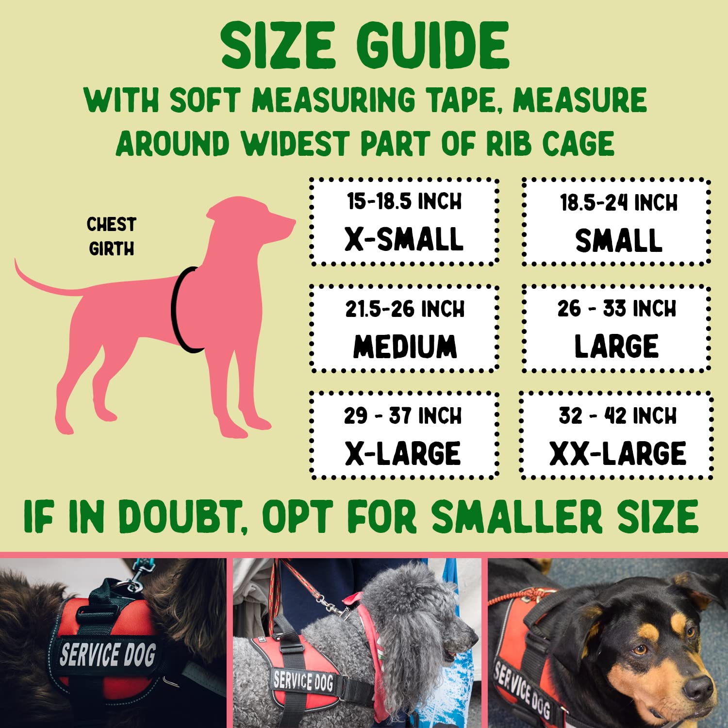 Service Dog Vest & Accessory Set