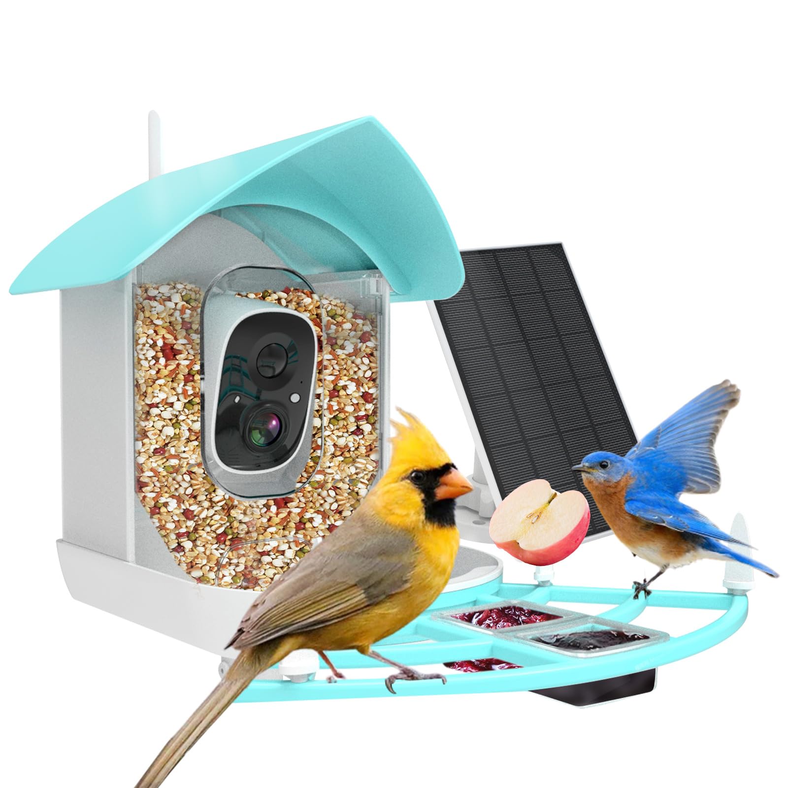 Gyozol Smart Bird Feeder with Camera,AI Identify Birds Breed,Solar Powered WiFi FHD 2K Live View Camera,Auto Capture Video,Backyard Garden Bird Watching,Motion Detection,Cloud and SD Card Storage,Blue