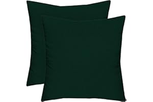 RSH DECOR RSH Décor: Set of 2 Square Throw Pillows | Indoor/Outdoor All Weather Sunbrella Fabric | Decorative Accent Pillows for Patio Furniture | Reversible | 20" x 20" | Canvas Forest Green