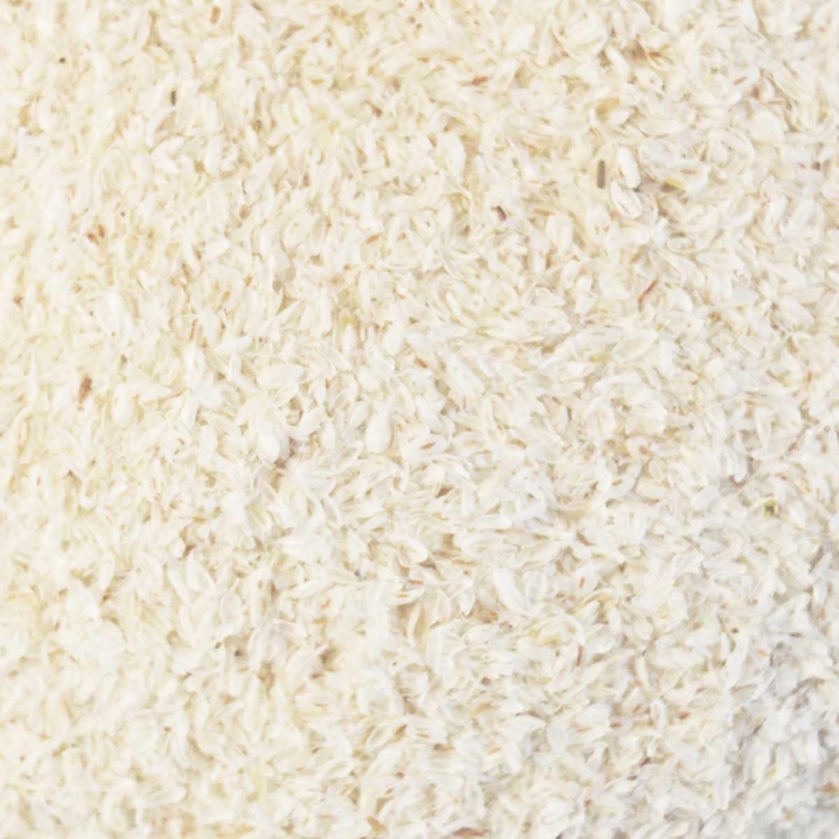 Psyllium Husk Whole, 1 Lb (Case Pack 12), 99% Purity, Premium Grade, High Purity, Freshly Packed LOT #2023065750