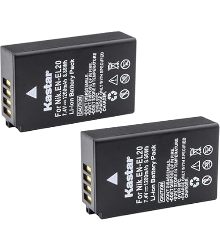 Amazon.com : BM Premium 2 Pack of EN-EL20, EN-EL20a Batteries for