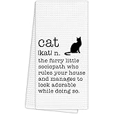 EGBTL Funny Cat Hand Towels, Animal Lovers Gifts for People Who Love Cats Women Kitchen Towels Bathroom Decor, Pet Mom Owner Gifts, Cute Cat Definition Dishcloths Dish Towel for Kitchen 16X24 Inches