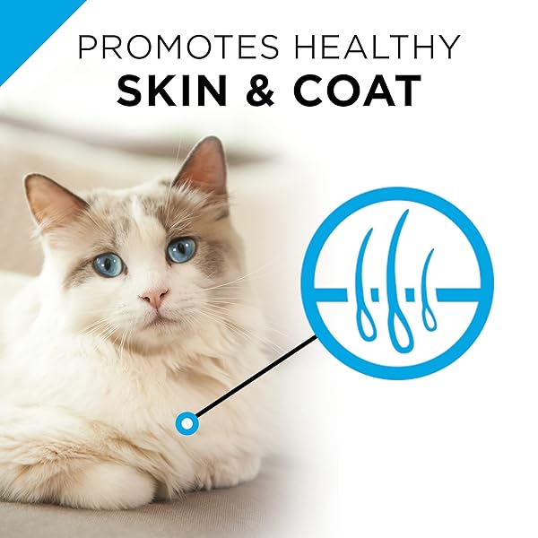 PURINA PRO PLAN SENSITIVE SKIN AND STOMACH WET CAT FOOD VARIETY PACK, SENSITIVE SKIN AND STOMACH ENTREES – (PACK OF 24) 3 OZ. CANS
