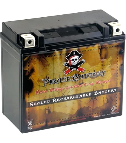 Amazon.com: Harley Davidson Battery