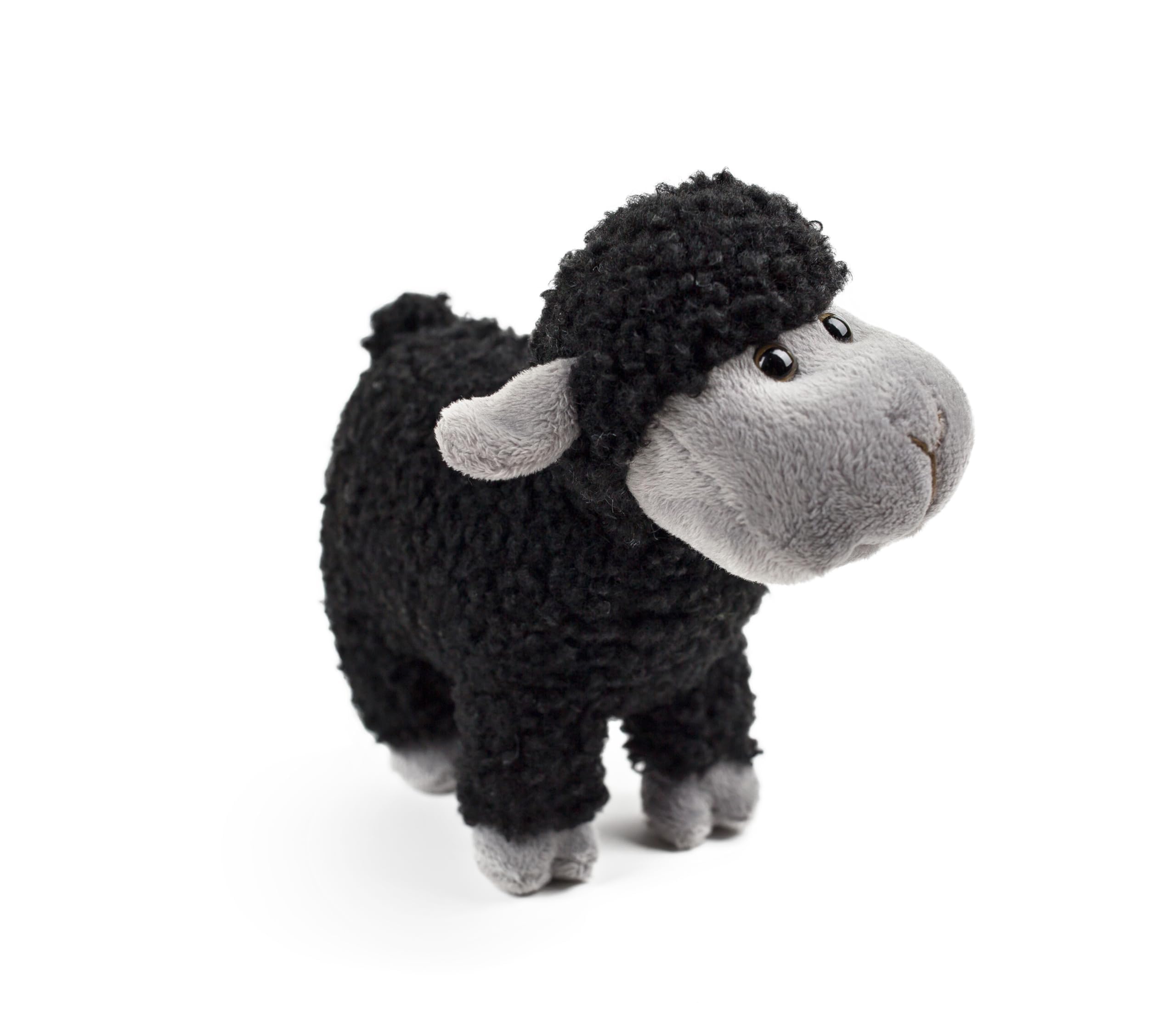 View 7