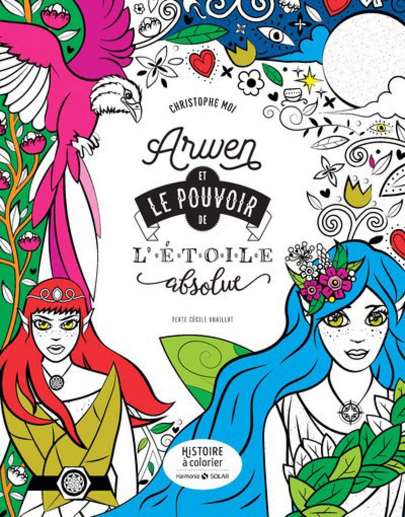 Arwen Et Le Pouvoir De Létoile Absolue Histoire à