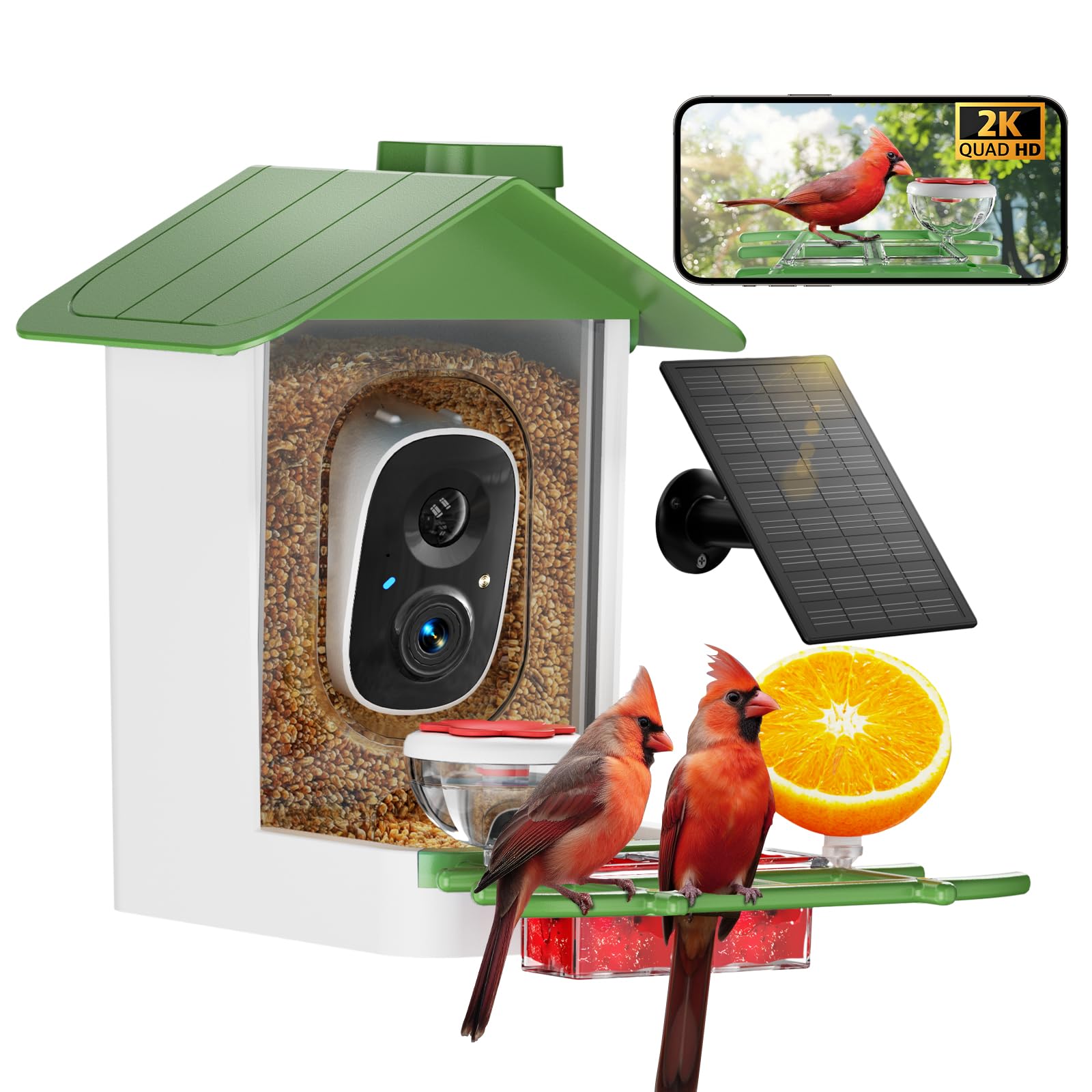 Bird Feeder with Camera 2K HD AI Smart Identify BirdSpecies Solar Panel ...