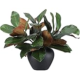 Thiccywoov 6 Pcs Magnolia Artificial Leaves Branches 3D Magnolia Pick Real Touch Faux Stems Simulation Leaves Twigs for Indoor Outdoor Vase Filling Home Office Table Decoration (Green,18 Inch)