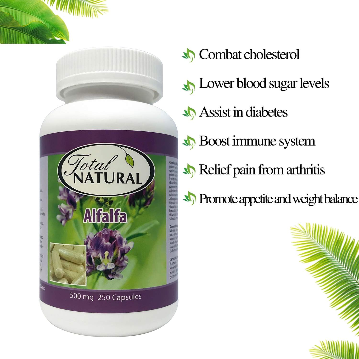 Natural Alfalfa Supplement 500mg 250 Capsules [2 Bottles] by Total Natural, Rich in Vitamins & Trace Minerals, Promotes Energy & Vitality, Promotes Digestive Health: Health & Personal Care