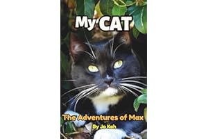 My Cat: Disguised Password Book. A FAKE Novel / Discreet Password Keeper for Your Internet Passwords With Alphabetical Tabs.