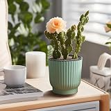 T4U Mini Self Watering Plant Pots Indoor 6 Pack 10cm Green Plastic Pots view 9