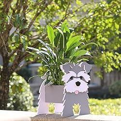 Gochoi Schnauzer Gifts: Cute Dog Flower