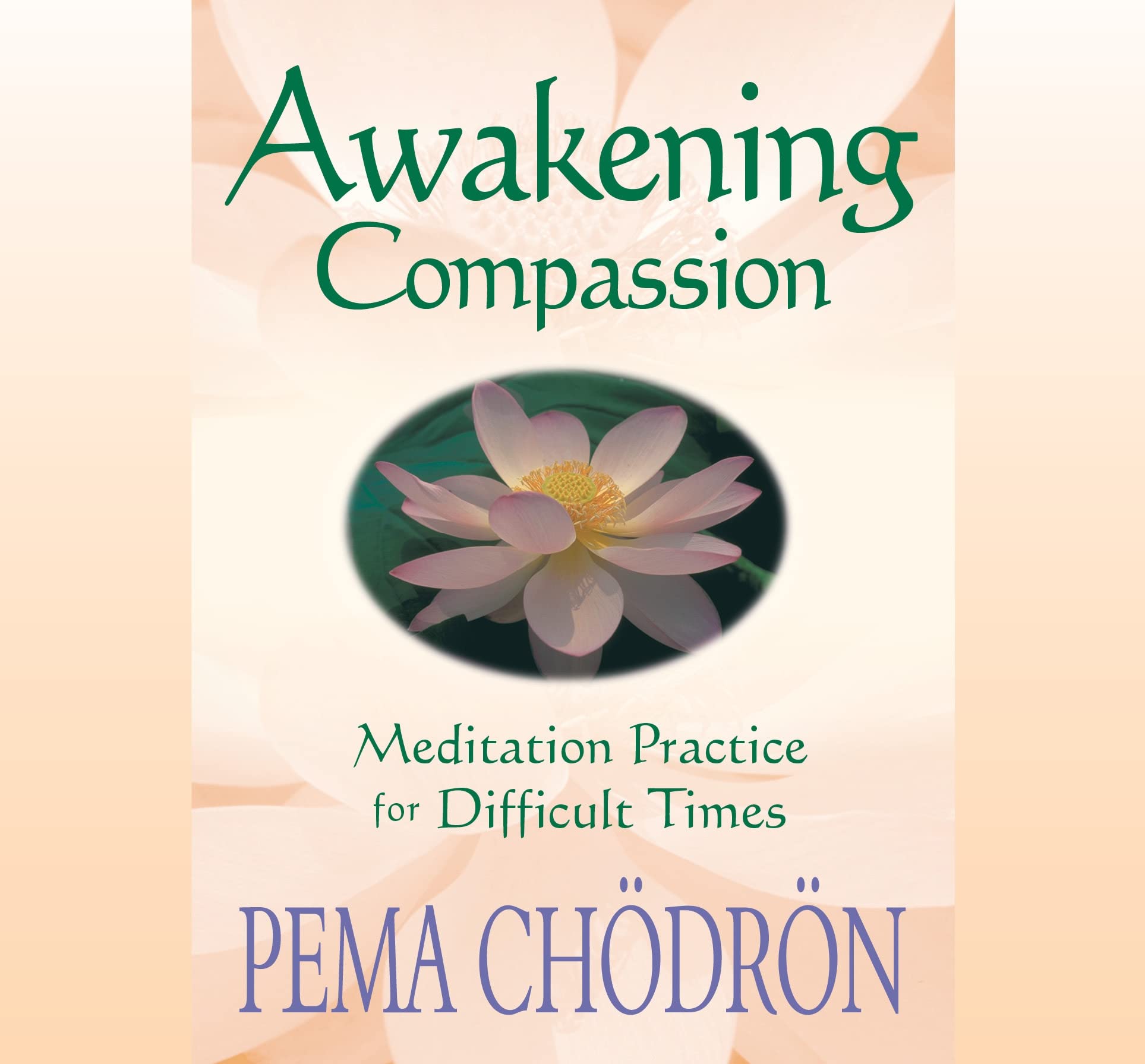 Amazon Awakening Compassion Meditation Practice For Difficult Times Chodron Pema Philosophy